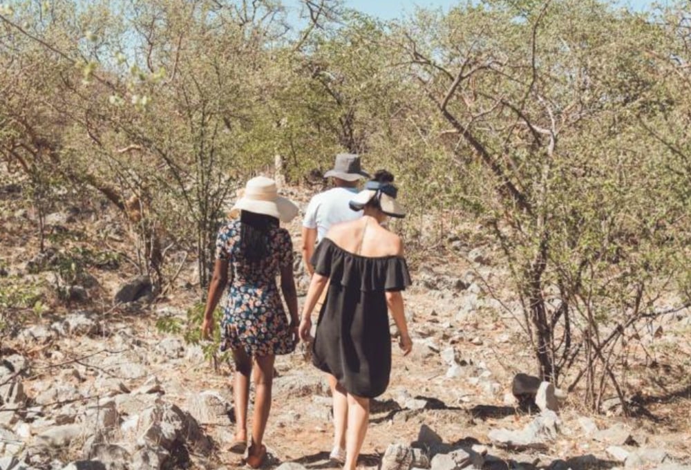 Etosha Safari Campsite Gondwana Collection Namibia